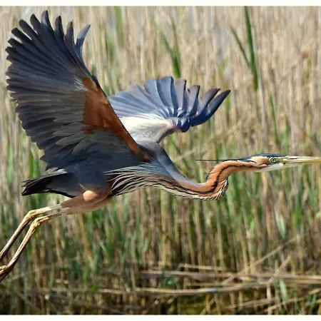 Le 4 Stagioni Lejlighed *