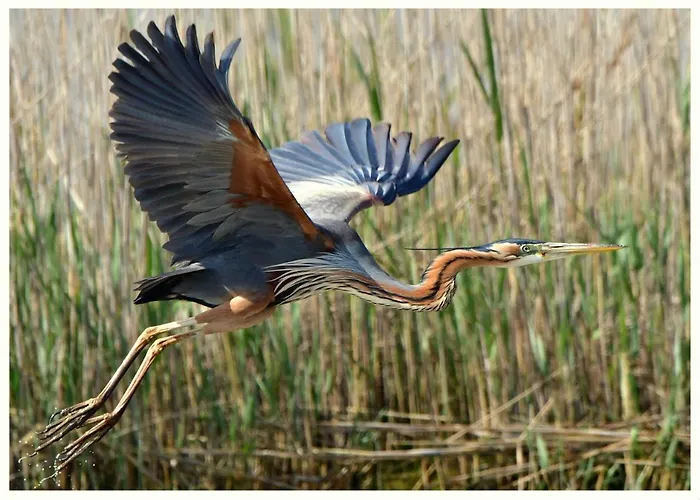 Le 4 Stagioni Lejlighed *