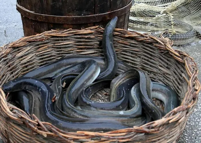 Le 4 Stagioni アパート *