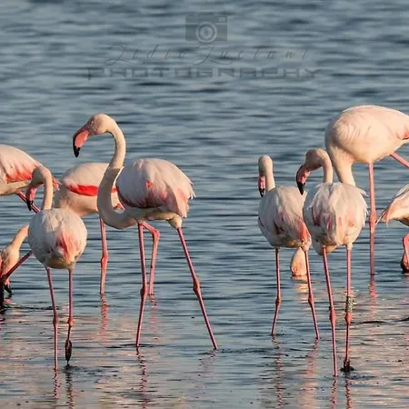 Le 4 Stagioni Comacchio