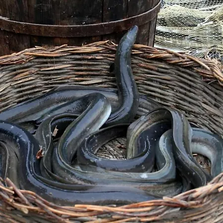 Le 4 Stagioni Lägenhet *