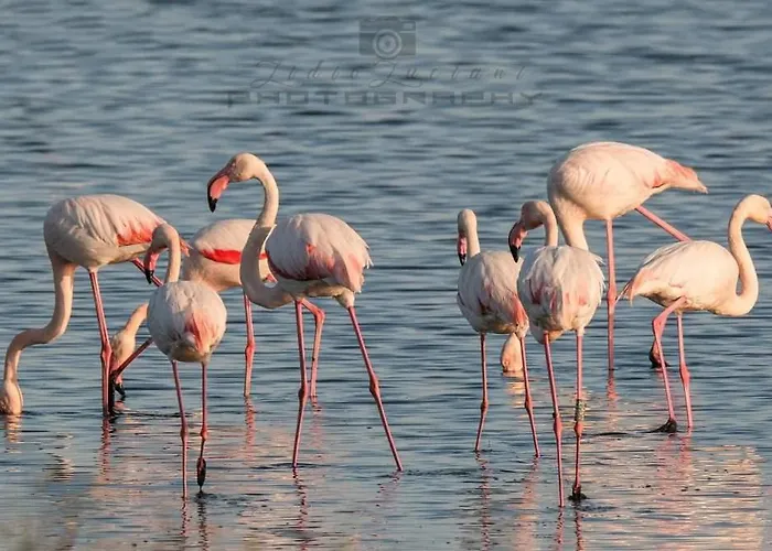 Le 4 Stagioni Comacchio